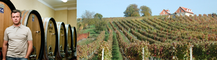 Weingüter / Weingut Kopfensteiner