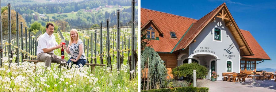 Weingüter / Weingut Langmann Lex