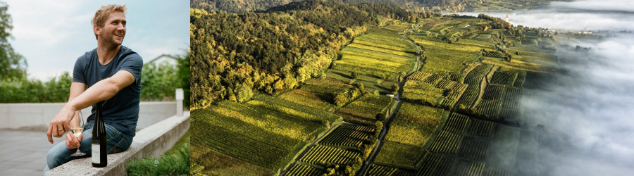 Weingüter / Weingut Markus Huber