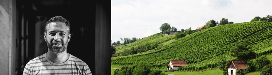 Weingüter / Weingut Neumeister