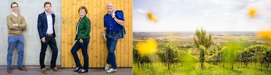 Weingüter / Weingut Sommer