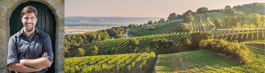 Weingüter / Weingut St. Zehetbauer