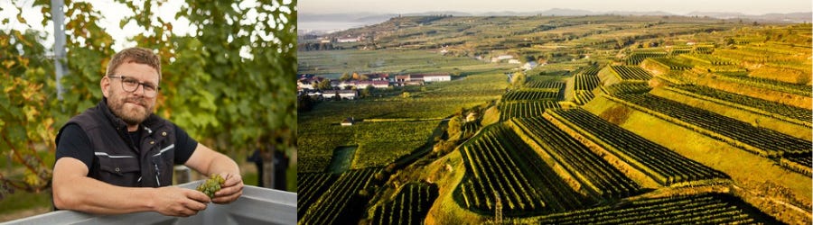 Weingüter / Weingut Thiery-Weber