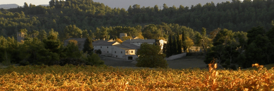 Weingüter / Château St. Jacques d'Albas
