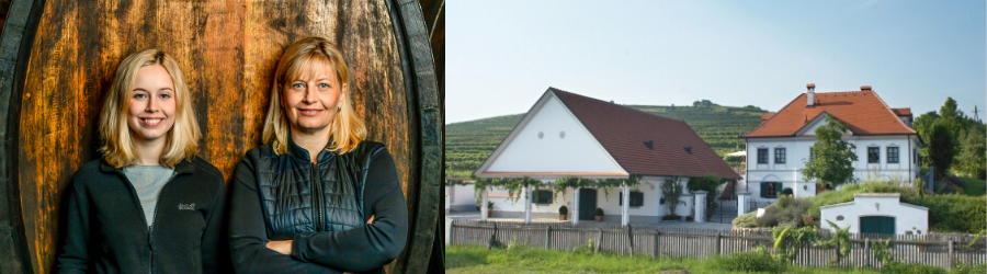 Weingüter / Weingut Birgit Eichinger