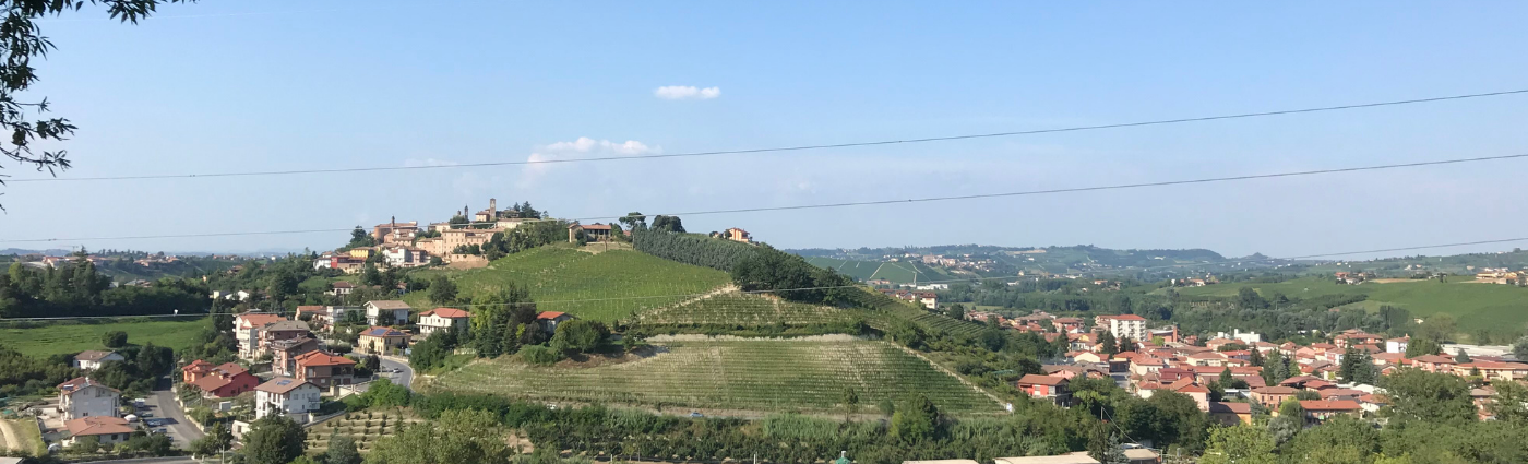 Weinregion /  Piemont