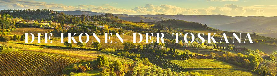 Weinregion /  Toskana