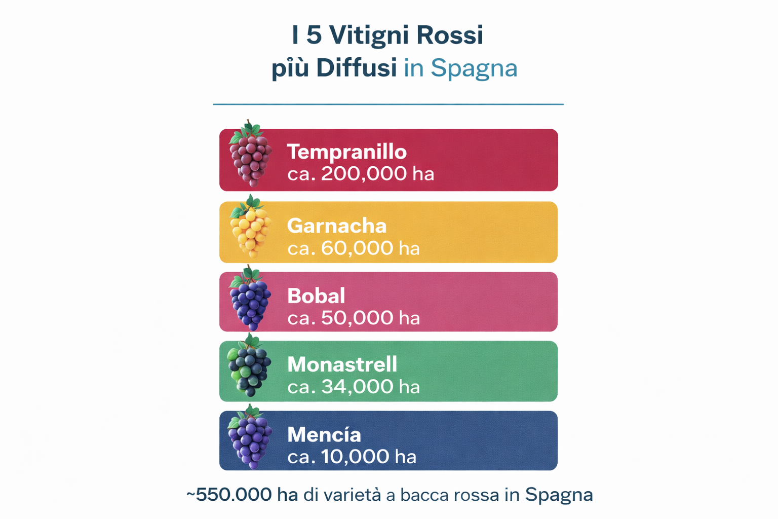 I 5 vitigni rossi più diffusi in Spagna – Tempranillo, Garnacha, Bobal, Monastrell, Mencía