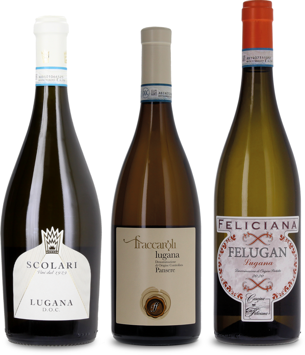 9Weine Set Lugana Probierpaket
