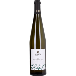 Weingut H.Lun Moscato Giallo DOC 2022