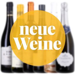 Neuheiten-Sampler - 6 aktuelle Wein-Neuheiten im Paket