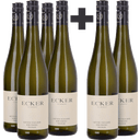 4+2 gratis Grüner Veltliner Kirchberg 2024 von Weingut Ecker - Eckhof 