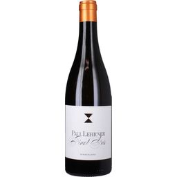 Weingut Paul Lehrner Pinot Gris 2021