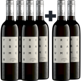 Weingut Günter u. Regina Triebaumer 4+2 Fl. GRATIS Cabernet Sauvignon 2022