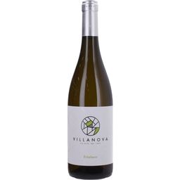 Tenuta Villa Nova Friulano 2023 Friuli Isonzo DOC