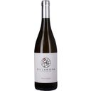 Tenuta Villanova Pinot Grigio 2023 Friuli Isonzo DOC