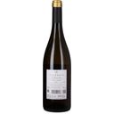 Tenuta Villanova Friulano 2023 Collio DOC