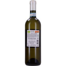 Fidora Pinot Grigio Lignum Venezia DOC Bio 2022