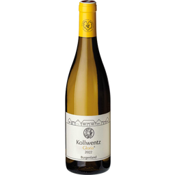 Chardonnay Gloria 2022 Weingut Kollwentz