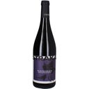 Blaufränkisch Ried Rosengarten 2019 Eisenberg DAC Reserve Bio