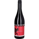 Weingut Straka Blaufränkisch Grünschiefer 2021 Bio
