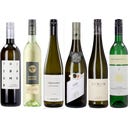 Neun Weine Set 6er Box: Best of Gelber Muskateller