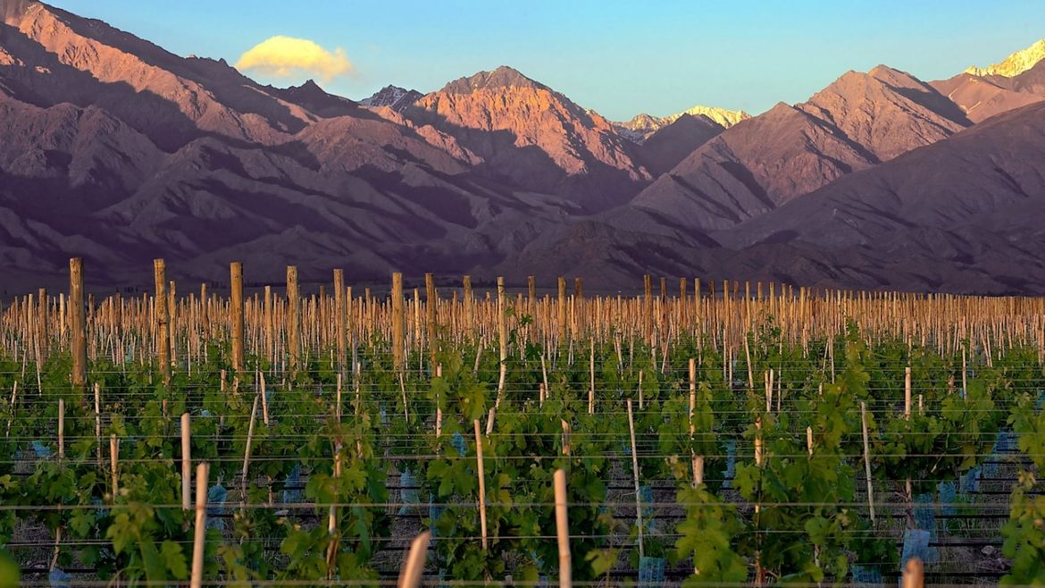 Wissenswertes rund um Weine aus Argentinien