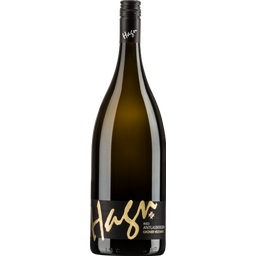 Weingut Hagn Grünen Veltliner Ried Antlasbergen 2023 Magnum