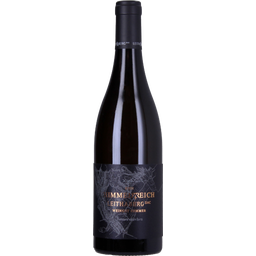Himmelreich Grüner Veltliner Leithaberg DAC 2023 Bio