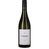 Grüner Veltliner Schiefer Leithaberg DAC 2024 Bio