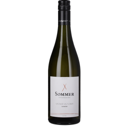 Grüner Veltliner Schiefer Leithaberg DAC 2024 Bio