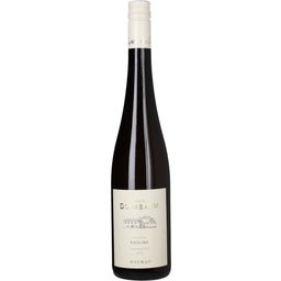 Spitzer Riesling Federspiel Wachau DAC 2024