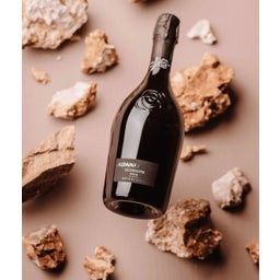 Aldaina al Mas Rive di Guia Valdobbiadene DOCG Extra Brut 2024