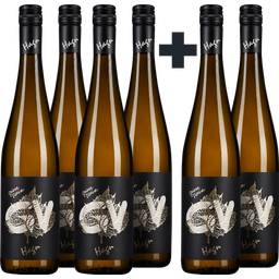 Weingut Hagn 4+2 gratis Grüner Veltliner Goldblatt 2024
