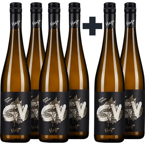 Weingut Hagn 4+2 gratis Grüner Veltliner Goldblatt 2024