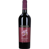 Plumbago Nero d'Avola Sicilia DOC 2022 Bio