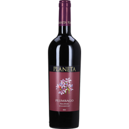 Plumbago Nero d'Avola Sicilia DOC 2022 Bio