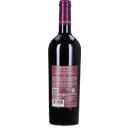 Plumbago Nero d'Avola Sicilia DOC 2022 Bio