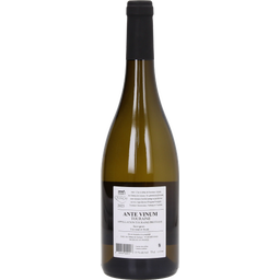 Ante Vinum Sauvignon Blanc AOC Touraine 2023 - 0,75 l