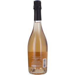 Brut Nature Rosé Comtesse de Cauvigny Bio