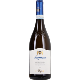 Allegrini Lugana Oasi Mantellina DOC 2024