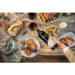 Terrazas de los Andes Malbec 2022 Bio