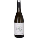 Tenuta Villa Nova Friulano 2024 Friuli Isonzo DOC