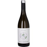Tenuta Villa Nova Friulano 2024 Friuli Isonzo DOC