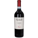 Allegrini Valpolicella Classcico DOC 2024
