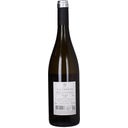 Tenuta Villa Nova Friulano 2024 Friuli Isonzo DOC