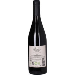 Bodega Malma Chacra La Papay Pinot Noir 2024