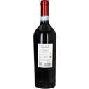 Allegrini Valpolicella Classcico DOC 2024