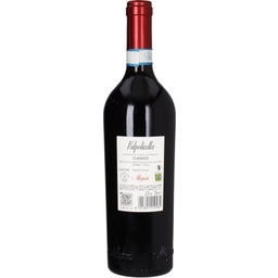 Allegrini Valpolicella Classcico DOC 2024