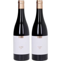 Alte Reben Pinot Noir + Syrah 2019 Lim.Edt. Duo